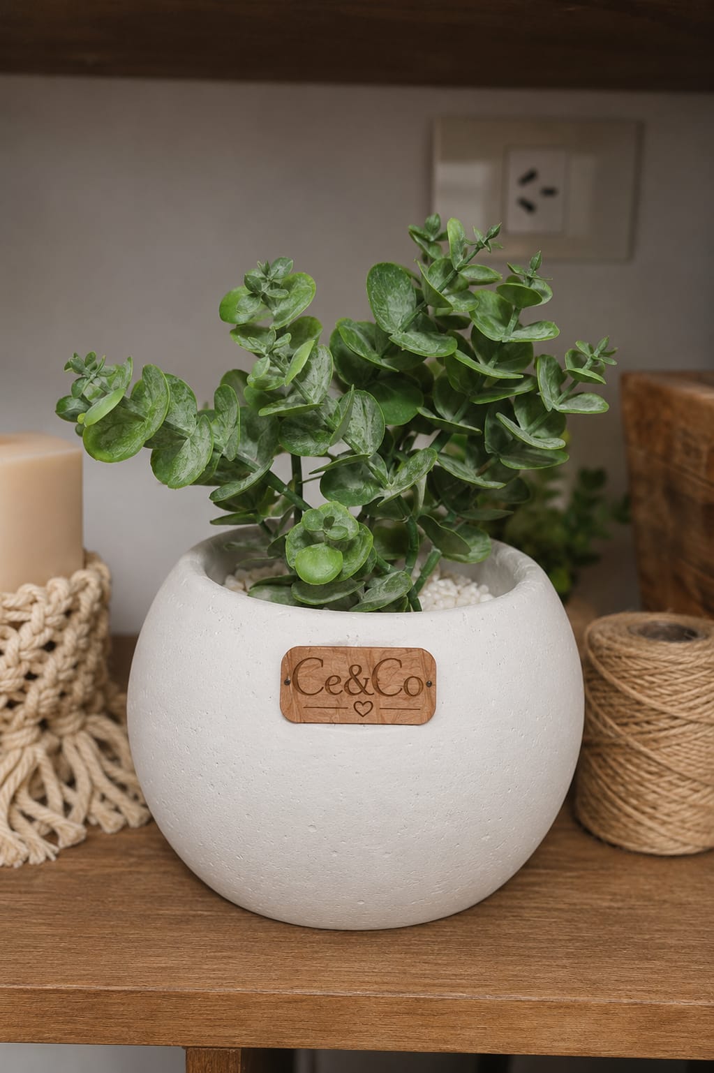 Maceta artesanal Ce&Co con planta